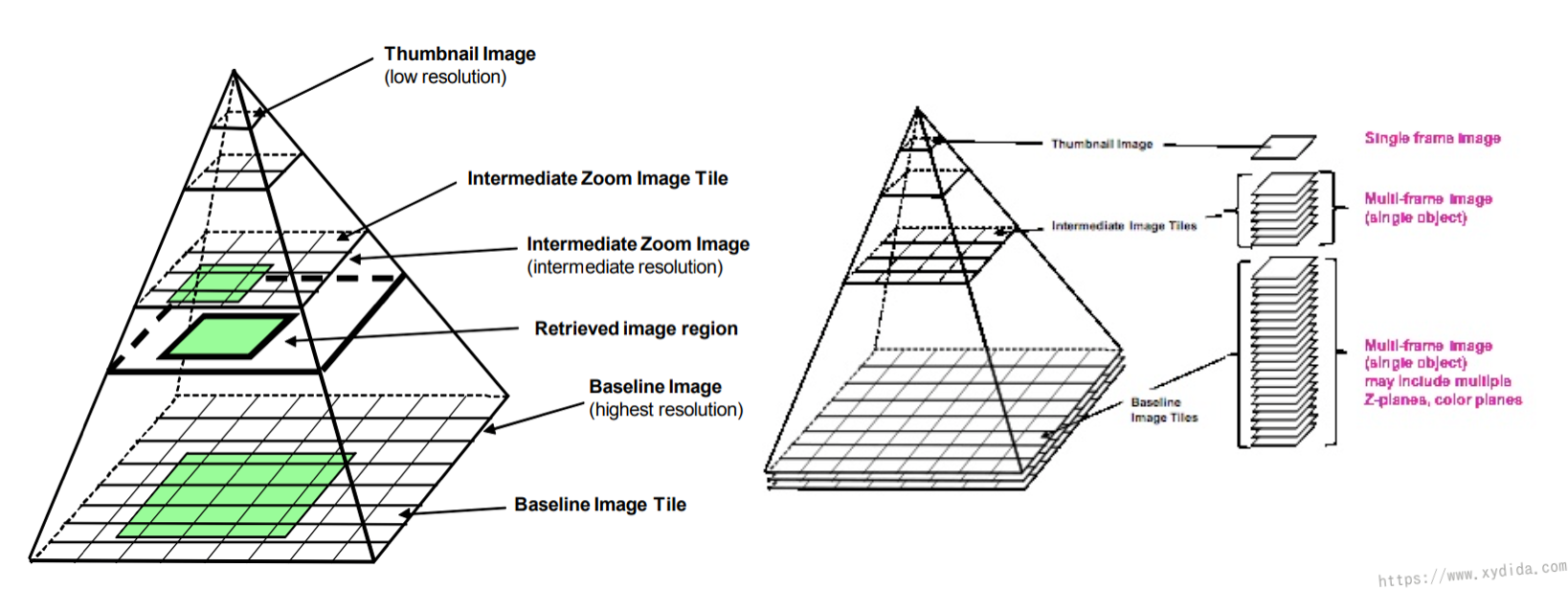 Fig. 2 Pyramid orginazation of WSI